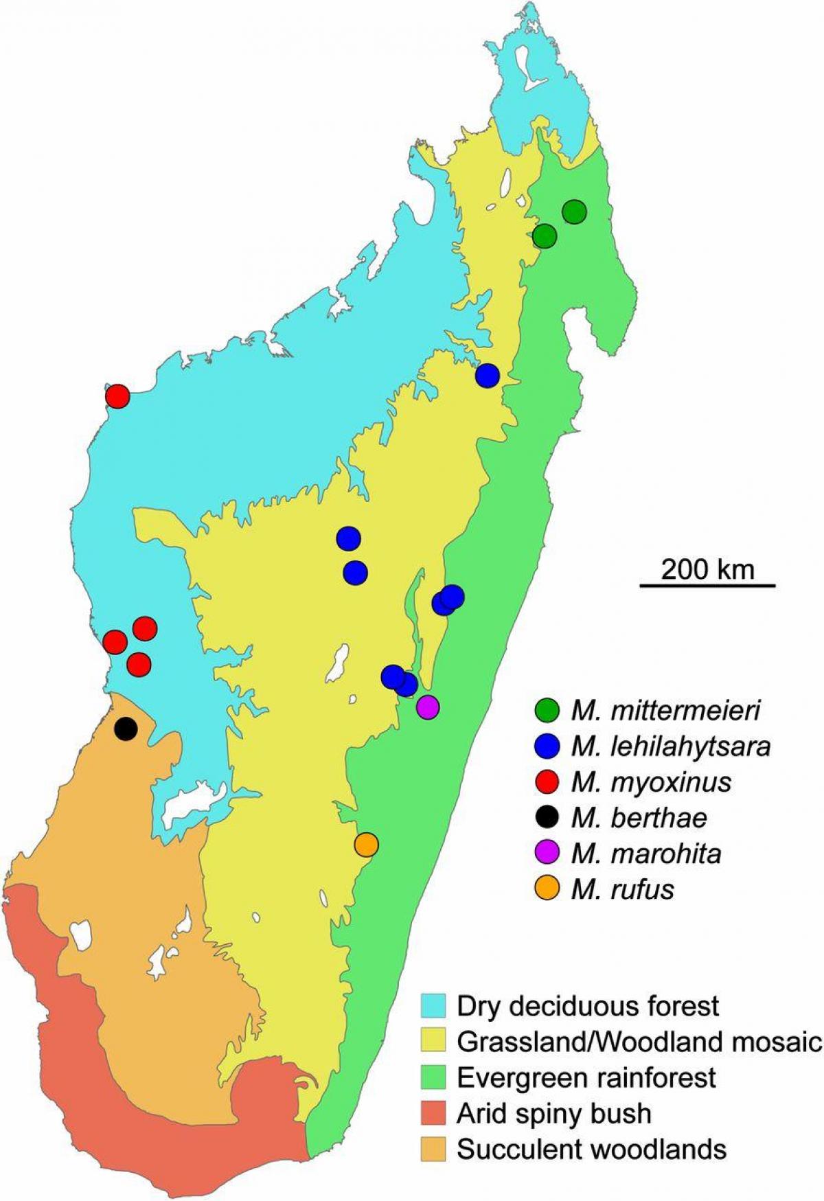 خريطة الغابات المطيرة في مدغشقر