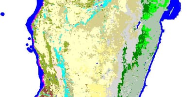 خريطة مدغشقر النباتات